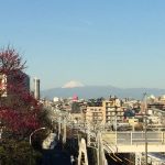 今日の富士山_20170222